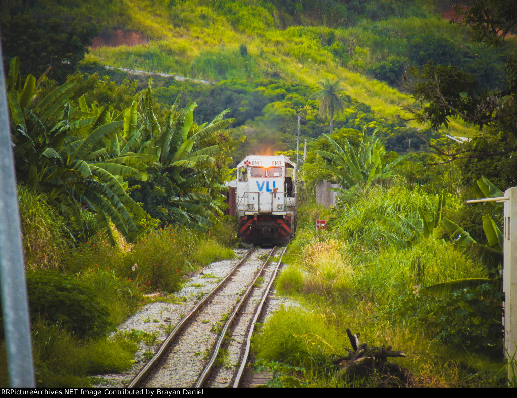 VLI 8143